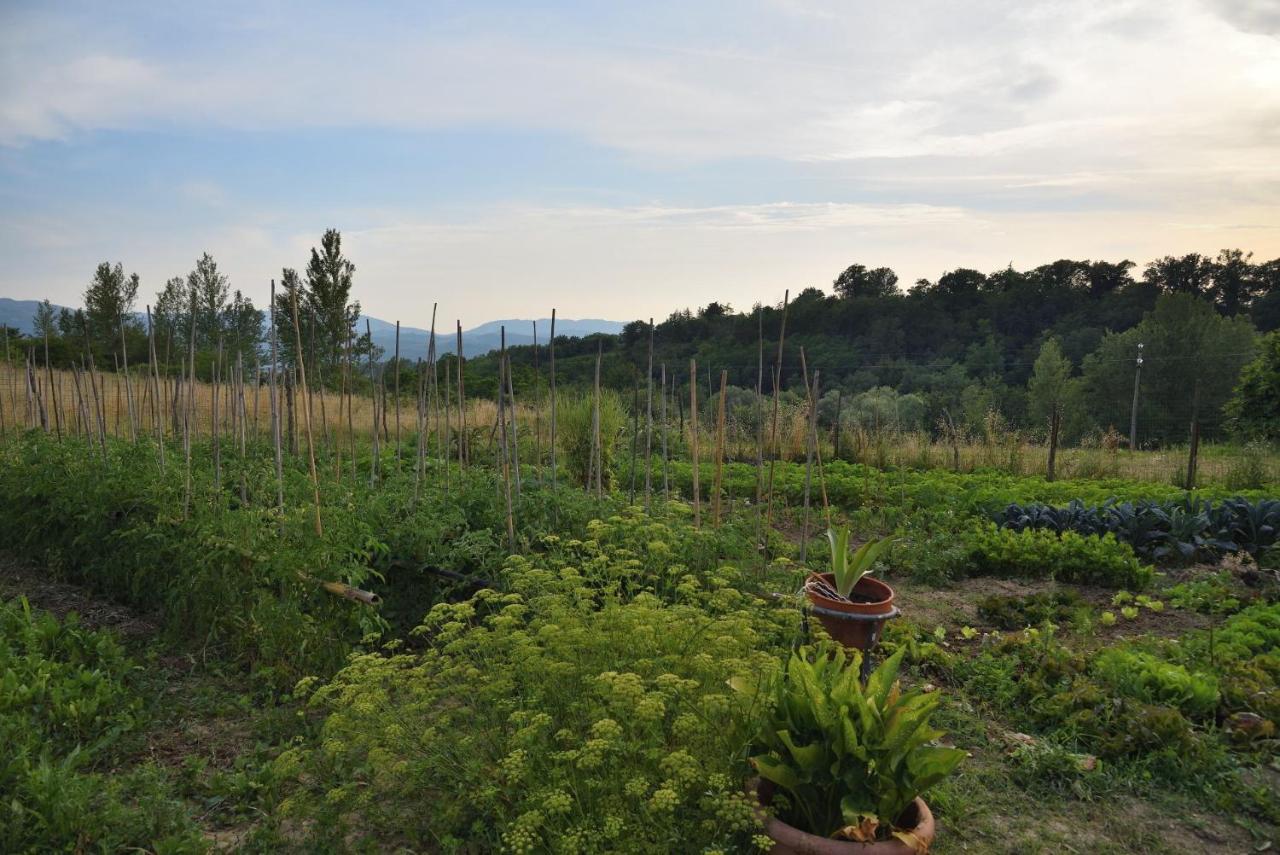 Il Fienile Di Margherita Vicchio Exterior foto