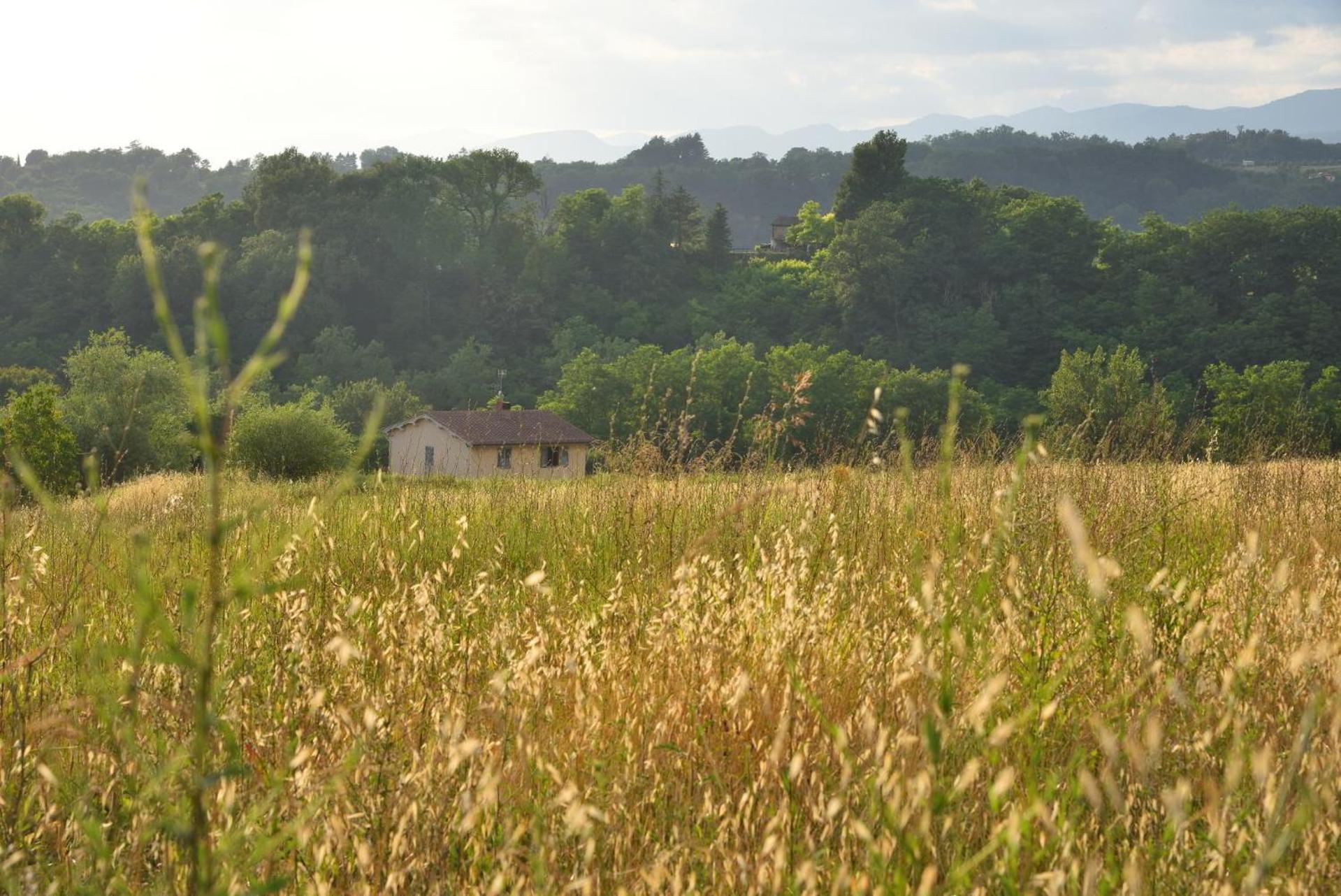 Il Fienile Di Margherita Vicchio Exterior foto